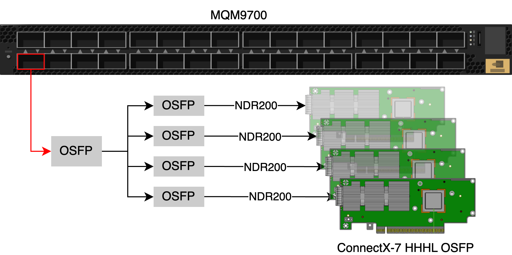 Topology